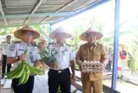 Bupati H. Anwar Sadat(kanan), bersama jajaran Lapas Kelas IIB Kuala Tungkal menunjukkan hasil komoditas peternakan dan perkebunan saat menghadiri kegiatan Panen Raya di RT 08, Desa Bram Itam Raya, Kecamatan Bram Itam.Aktivitas produktif berupa budidaya pisang, nanas, hingga telur ayam tersebut dikelola secara kolaboratif oleh masyarakat setempat bersama para warga binaan Lapas Kelas IIB Kuala Tungkal sebagai pembekalan kemandirian ekonomi. (FOTO : Prokopim)