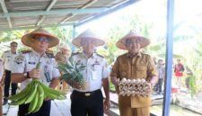 Bupati H. Anwar Sadat(kanan), bersama jajaran Lapas Kelas IIB Kuala Tungkal menunjukkan hasil komoditas peternakan dan perkebunan saat menghadiri kegiatan Panen Raya di RT 08, Desa Bram Itam Raya, Kecamatan Bram Itam.Aktivitas produktif berupa budidaya pisang, nanas, hingga telur ayam tersebut dikelola secara kolaboratif oleh masyarakat setempat bersama para warga binaan Lapas Kelas IIB Kuala Tungkal sebagai pembekalan kemandirian ekonomi. (FOTO : Prokopim)