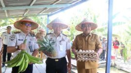 Bupati H. Anwar Sadat(kanan), bersama jajaran Lapas Kelas IIB Kuala Tungkal menunjukkan hasil komoditas peternakan dan perkebunan saat menghadiri kegiatan Panen Raya di RT 08, Desa Bram Itam Raya, Kecamatan Bram Itam.Aktivitas produktif berupa budidaya pisang, nanas, hingga telur ayam tersebut dikelola secara kolaboratif oleh masyarakat setempat bersama para warga binaan Lapas Kelas IIB Kuala Tungkal sebagai pembekalan kemandirian ekonomi. (FOTO : Prokopim)