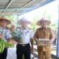 Bupati H. Anwar Sadat(kanan), bersama jajaran Lapas Kelas IIB Kuala Tungkal menunjukkan hasil komoditas peternakan dan perkebunan saat menghadiri kegiatan Panen Raya di RT 08, Desa Bram Itam Raya, Kecamatan Bram Itam.Aktivitas produktif berupa budidaya pisang, nanas, hingga telur ayam tersebut dikelola secara kolaboratif oleh masyarakat setempat bersama para warga binaan Lapas Kelas IIB Kuala Tungkal sebagai pembekalan kemandirian ekonomi. (FOTO : Prokopim)