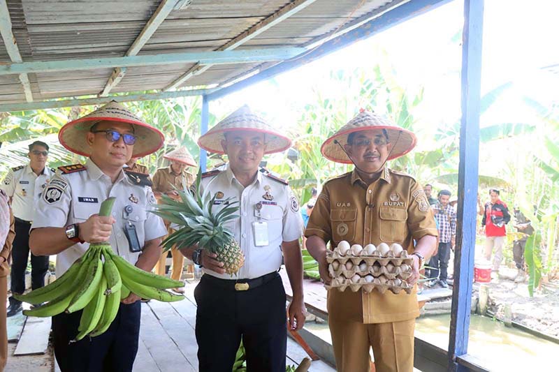 Bupati H. Anwar Sadat(kanan), bersama jajaran Lapas Kelas IIB Kuala Tungkal menunjukkan hasil komoditas peternakan dan perkebunan saat menghadiri kegiatan Panen Raya di RT 08, Desa Bram Itam Raya, Kecamatan Bram Itam.Aktivitas produktif berupa budidaya pisang, nanas, hingga telur ayam tersebut dikelola secara kolaboratif oleh masyarakat setempat bersama para warga binaan Lapas Kelas IIB Kuala Tungkal sebagai pembekalan kemandirian ekonomi. (FOTO : Prokopim)