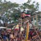 Hanya Hitungan Menit Batang Pisang Kategori Anak Senilai 500 Ribu di Asrama Kodim Takluk