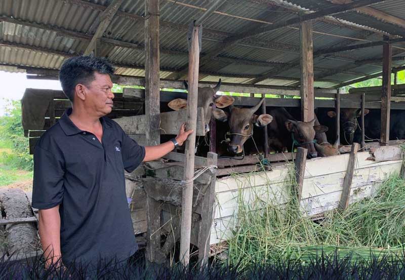 Ismail salah seorang Penjual dan Peternak Sapi di Jalan Siswa Ujung, Kelurahan Patunas, Kecamatan Tungkal Ilir, Kabupaten Tanjung Jabung Barat. FOTO : Ist