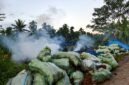 Kepulan asap tebal membubung dari lokasi pembakaran arang tempurung kelapa yang dikeluhkan mengganggu kenyamanan dan kesehatan warga Desa Kemuning. Camat Bram Itam menegaskan seluruh pengrajin wajib mematuhi SE Bupati terkait pembatasan jam operasional. (Foto: Dok. Istimewa)