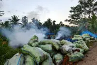 Kepulan asap tebal membubung dari lokasi pembakaran arang tempurung kelapa yang dikeluhkan mengganggu kenyamanan dan kesehatan warga Desa Kemuning. Camat Bram Itam menegaskan seluruh pengrajin wajib mematuhi SE Bupati terkait pembatasan jam operasional. (Foto: Dok. Istimewa)