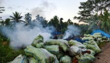 Kepulan asap tebal membubung dari lokasi pembakaran arang tempurung kelapa yang dikeluhkan mengganggu kenyamanan dan kesehatan warga Desa Kemuning. Camat Bram Itam menegaskan seluruh pengrajin wajib mematuhi SE Bupati terkait pembatasan jam operasional. (Foto: Dok. Istimewa)