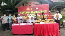 Polresta Jambi dan BNNP Jambi Musnahkan Barang Bukti 46,8 Kg Ganja dan 3,92 Sabu. FOTO : dhea.