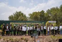 Program Hutan Lestari Wanaboga Nangka di lahan seluas 87 hektare ini dioptimalkan untuk memperkuat ekonomi desa sekaligus mengatasi defisit kebutuhan bahan baku nangka muda bagi industri kuliner gudeg di Yogyakarta, Sabtu (3/10). FOTO : PERTAMINA