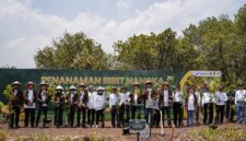 Program Hutan Lestari Wanaboga Nangka di lahan seluas 87 hektare ini dioptimalkan untuk memperkuat ekonomi desa sekaligus mengatasi defisit kebutuhan bahan baku nangka muda bagi industri kuliner gudeg di Yogyakarta, Sabtu (3/10). FOTO : PERTAMINA
