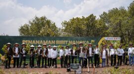 Program Hutan Lestari Wanaboga Nangka di lahan seluas 87 hektare ini dioptimalkan untuk memperkuat ekonomi desa sekaligus mengatasi defisit kebutuhan bahan baku nangka muda bagi industri kuliner gudeg di Yogyakarta, Sabtu (3/10). FOTO : PERTAMINA