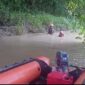 Tim SAR Gabungan Kembali Melanjutkan Pencarian Terhadap Fauzan (8), korban tenggelam di Sungai Pulau Rayo, Sabtu (25/2/23). FOTO : Basarnas Jambi