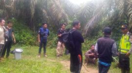 Petugas Gabungan Melakukan Pencarian Siswa SMK Muhammadiyah Kota Jambi Magang di Perusahaan Tambang PT GGI Hilang. FOTO : HUMAS PS