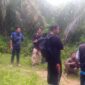 Petugas Gabungan Melakukan Pencarian Siswa SMK Muhammadiyah Kota Jambi Magang di Perusahaan Tambang PT GGI Hilang. FOTO : HUMAS PS