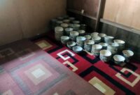 FOTO : Penemuan 730 barang diduga mangkok purbakala oleh warga di Desa Mekar Alam, Kecamatan Seberang Kota, Kabupaten Tanjung Jabung Barat 