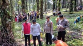 Polsek Tabir Melakukan Olah TKP dan Identifikasi di Lokasi Penemuan Mayat. [FOTO : Humas Res Merangin].