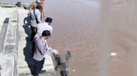 FOTO : Petugas Melaukan Evakuasi Sesosok Mayat Ditemukan Mengapung di Dermaga Bongkar Muat Pasar Senyerang, Kecamatan Senyrang. FOTO : Istimewa