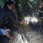 Anggoat Polsek Maro Sebo Polres Muaro Jambi Melakukan Evakuasi dan Identifikasi di Lokasi Penemuam Mayat (Mr. V) di RT. 04 Dusun Koto Mahligai, Desa Danau Lamo, Kecamatan Maro Sebo, Minggu (31/8/23). FOTO : HUMAS PMJ