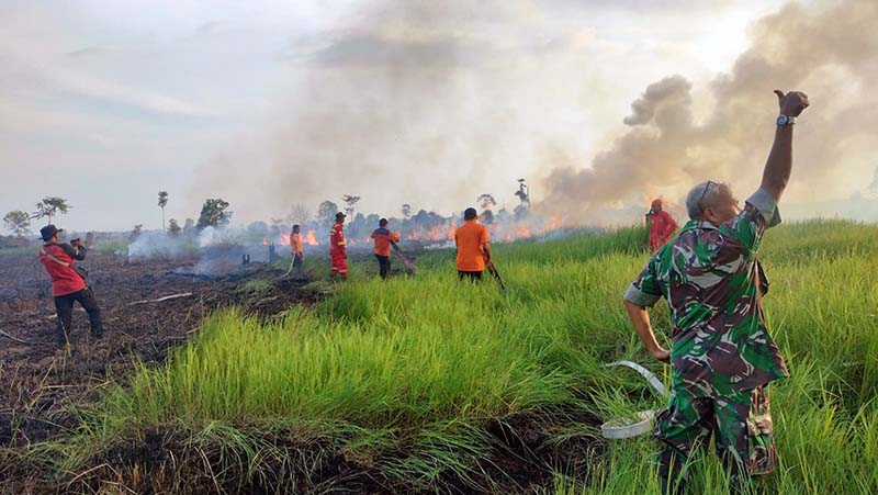 Personel PetroChina Bergerak Cepat Turut Padamkan Karhutla di Desa Pematang Buluh, Betara. FOTO : Tim Media