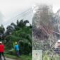 Tim PLN ULP Kuala Tungkal saat melakukan pembebasan terhadap tanam tumbuh disepanjang Jaringan Listrik tegangan menengah. FOTO : Tangkapan layar