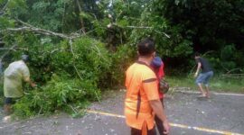 Personil Satlantas Polres Muaro Jambi dan Warga Melakukan Evakuasi Kayu Tumbang. FOTO : MUMAS PMJ