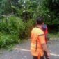 Personil Satlantas Polres Muaro Jambi dan Warga Melakukan Evakuasi Kayu Tumbang. FOTO : MUMAS PMJ