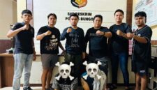 Tim GUNJO Satreskrim Polres Bungo berfoto bersama dua tersangka perampokan bermodus travel palsu yang berhasil diringkus di tempat persembunyiannya, [FOTO : Dok. Polres Bungo)