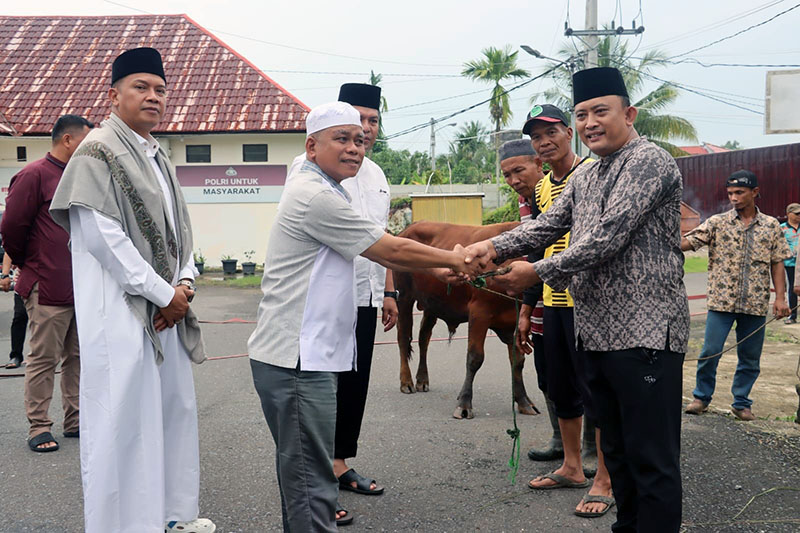 KUALA TUNGKAL – Kapolres Tanjab Barat, AKBP Maulia Kuswicaksono, S.H., S.I.K. (kanan depan), menyerahkan hewan qurban secara simbolis kepada Panitia Qurban Masjid Nur Annisa Abdul Jalil, MM, Rabu (27/5/2026). Prosesi penyerahan ini disaksikan langsung oleh Wakapolres Tanjab Barat, Kompol Andi Musahar, S.H. (kiri), serta panitia penyembelihan hewan qurban dalam rangka memperingati Hari Raya Idul Adha 1447 Hijriah/2026 Masehi. (FOTO : Humas Polres Tanjab Barat)