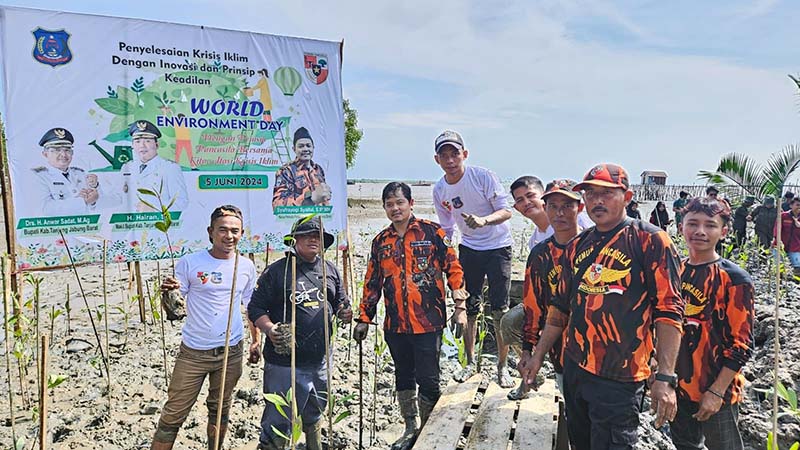 Dokumentasi Pemuda Pancasila Tanjab Barat Pulihkan Ekosistem dengan Tanam Mangrove di Parit 9 Pesisir Desa Tungkal I, Minggu (9/6/24). FOTO : Ist