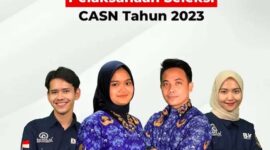 Pemerintah Kabupaten Tebo Umumkan Penerimaan PPPK Tahun 2023
