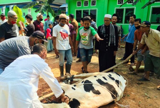 FOTO : Penyembelihan Hewan Qurban dilakukan usai shalat Ied di Sekretariat PWI Provinsi Jambi di kawasan Kotabaru, Kota Jambi, Jumat (31/07/20)