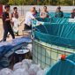 Dukung Ketahanan Pangan Nasional di Kecamatan Kumpeh Ulu, BUMDes Kasang Lopak Alai Tabar Benih Ikan Nila. FOTO : Viryzha