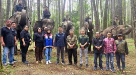 Pertamina Patra Niaga Ajak Masyarakat Wujudkan Aksi Nyata di Hari Konservasi Alam Nasional 2025. FOTO : WKI