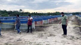 Penyidik Ditreskrimum Polda Jambi Memasang Garis Polisi Sejumlah Aset Milik PT DHD Farm Mitra Indotama di Kecamatan Sungai Gelam, Kabupaten Muaro Jambi. FOTO : Polda Jambi

