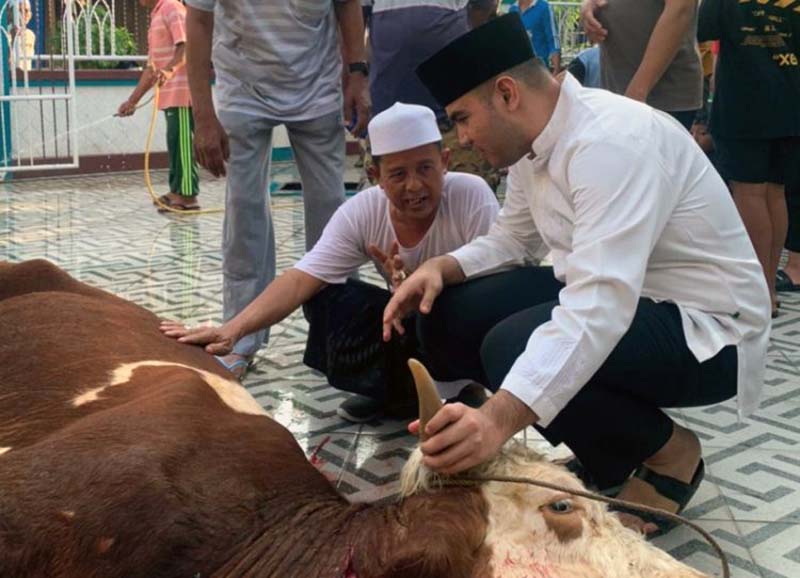 Anggota DPRD Jambi Rendra Usman Kurban Sapi Simental di Kampung Nelayan. FOTO : HMS