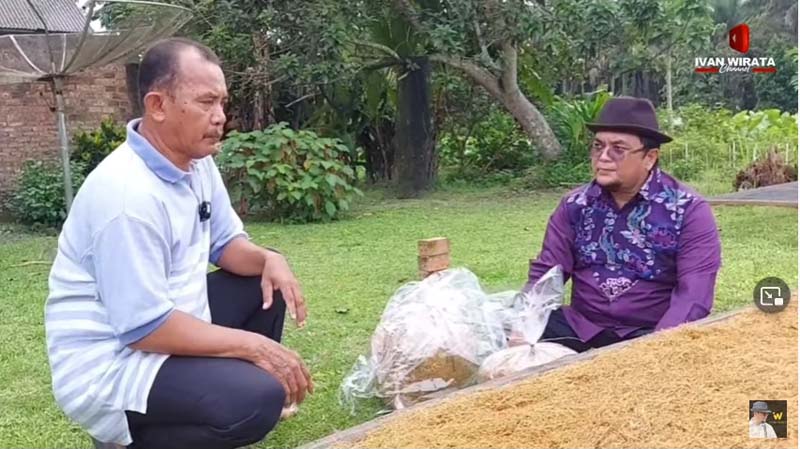 Petani di Desa Sumber Agung Ciptakan Daun Talas Beneng Menjadi Tembakau Rokok Herbal. GAMBAR : Youtube Ivan Wirata