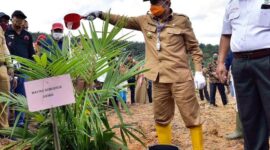 FOTO : Penanaman Perdana Peremajaan/Replanting Kelapa Sawit secara simbolis Gubernur Jambi Fachrori Umar di area rakyat seluas 212 hektar KUD Barokah Desa Karya Mukti Kecamatan Muaro Sebo Ilir Kabupaten Batanghari, bantuan Badan Pengelolaan Dana Perkebunan Kelapa Sawit (BPDPKS), Senin (20/07/20).