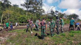 Satgas TNI Yonif R 142 Bersama Warga Yahukimo Membuat Lahan Kebun. FOTO : ISt