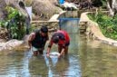 Sinergi Energi Bersih dan Ekowisata di Ranah Minang. Intip aksi warga saat merawat saluran air (intake) Pembangkit Listrik Tenaga Mikrohidro (PLTMH) di kawasan Air Terjun Lubuk Hitam, Kota Padang. (FOTO : Dok. PERTAMINA)