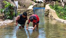 Sinergi Energi Bersih dan Ekowisata di Ranah Minang. Intip aksi warga saat merawat saluran air (intake) Pembangkit Listrik Tenaga Mikrohidro (PLTMH) di kawasan Air Terjun Lubuk Hitam, Kota Padang. (FOTO : Dok. PERTAMINA)