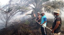 Satgas Karhutla TNI bersama PT WKS Lakukan Pemadaman Kebakaran Lahan di Desa Rawang Kempas. FOTO : IST