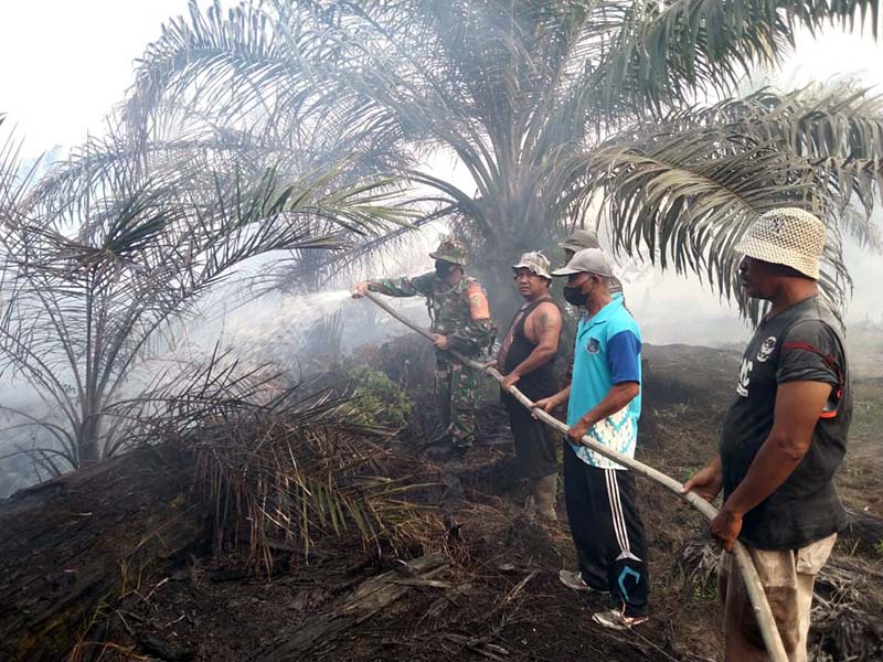 Satgas Karhutla TNI bersama PT WKS Lakukan Pemadaman Kebakaran Lahan di Desa Rawang Kempas. FOTO : IST