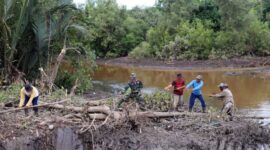 FOTO : Kondisi Medan Berkubang Lumpur, Satgas TMMD Bersama Warga Angkut Kayu Bangun Jembatan Darurat di Lokasi TMMD