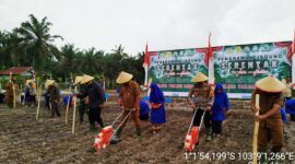 Kapolres Tanjab Barat AKBP Agung Basuki Bersama Forkompinda Tanam Jagung Serentak 1 Juta Hektar di Kecamatan Tebing Tinggi, Selasa (21/1/2025). FOTO : LT