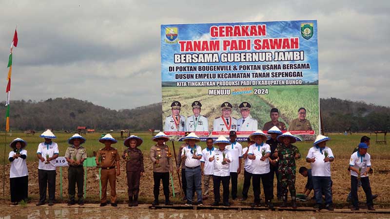 Dandim 0416/Bute Letkol Inf Arief Widyanto, S.E., M.Han Saat Ikuti Gerakan Percepatan Tanaman Padi di Persawahan Kelompok Tani Bougenville Desa Empelu Kecamatan Tanah Sepenggal Kabupaten Bungo, Kamis (30/05/24). [FOTO : PENDIM 0416]