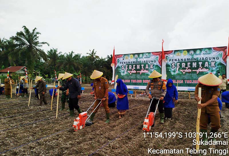 Kapolres Tanjab Barat AKBP Agung Basuki Bersama Forkompinda Tanam Jagung Serentak 1 Juta Hektar di Kecamatan Tebing Tinggi, Selasa (21/1/2025). FOTO : LT