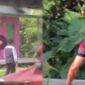 Tampak Salah Satu Pelaku Berhasil Diamankan Petugas BNNP Jambi. [FOTO : Tangkapan Layar]