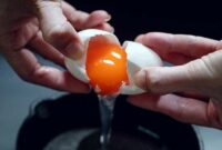 Bolehkah Makan Telur Setiap Hari?