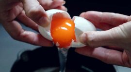 Bolehkah Makan Telur Setiap Hari?