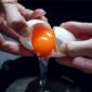Bolehkah Makan Telur Setiap Hari?