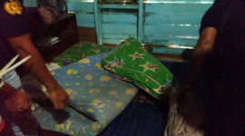 FOTO : Polisi Mengerbek Pelaku di Kediamannya di Betara III Desa Pematang Lumut, Jumat (28/08/20).